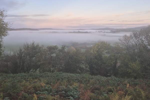 House sit in Bridport, United Kingdom