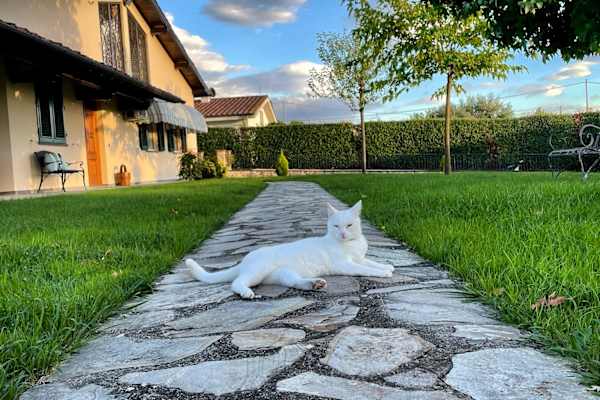 House sit in Lucca, Italy