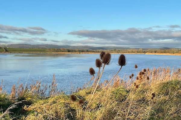 House sit in Hardwicke, United Kingdom