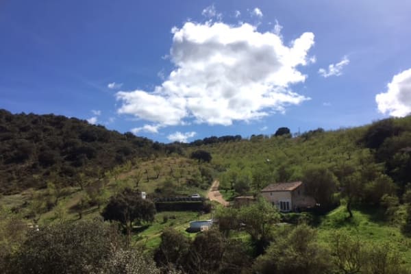 House sit in Alhama de Granada, Spain