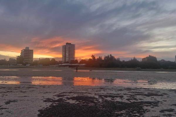 House sit in Melbourne, VIC, Australia