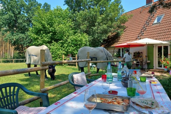 House sit in Potsdam, Germany