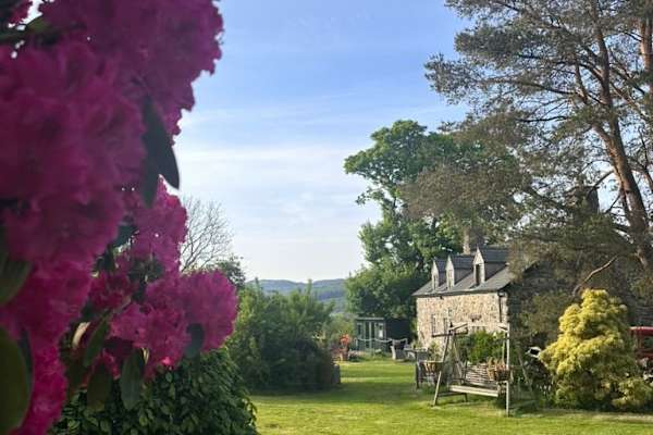 House sit in Dolgellau, United Kingdom