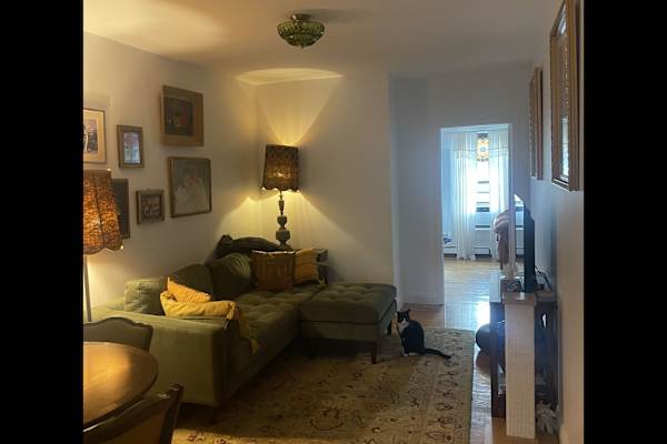 House sit in Brooklyn, NY, US