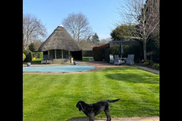 House sit in Gerrards Cross, United Kingdom