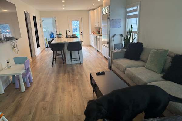 House sit in Calgary, AB, Canada
