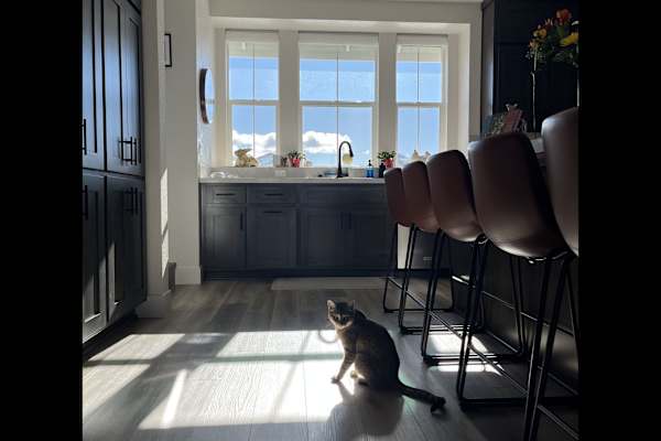 House sit in Carson City, NV, US