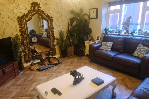 House sit in Salford, United Kingdom