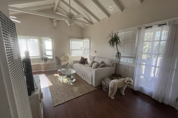 House sit in Encinitas, CA, US