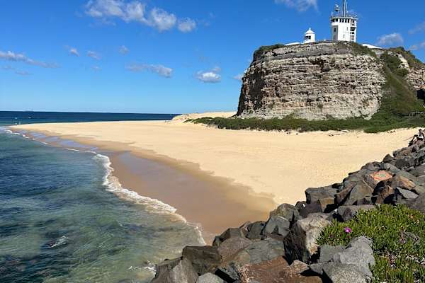 House sit in Newcastle, NSW, Australia