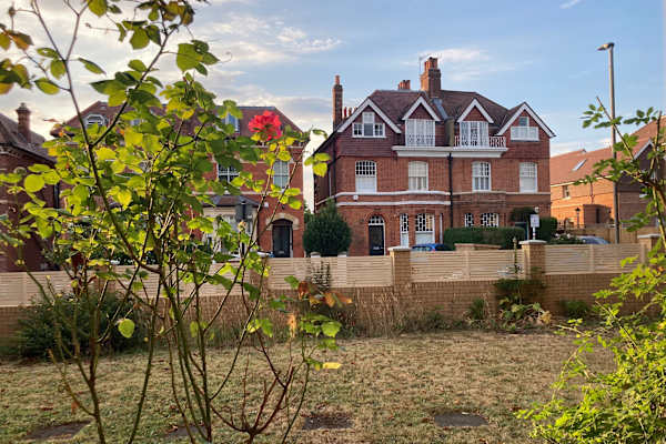 House sit in London, United Kingdom