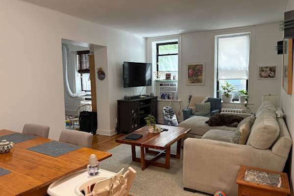 House sit in Manhattan, NY, US