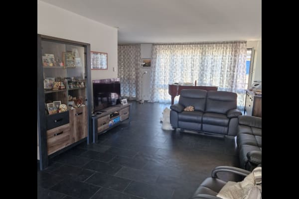 House sit in Zürich, Switzerland