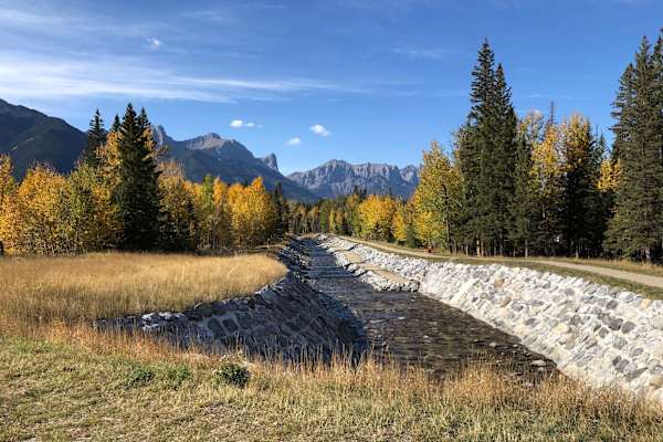 House sit in Canmore, AB, Canada