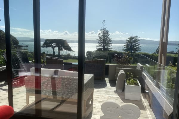 House sit in Eastbourne, New Zealand