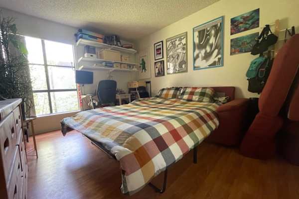 House sit in Los Angeles, CA, US