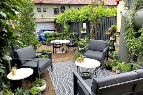 House sit in Sydney, NSW, Australia