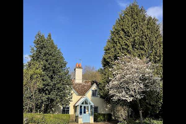 House sit in Romsey, United Kingdom