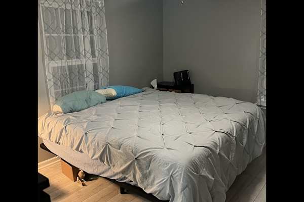 House sit in Savannah, GA, US