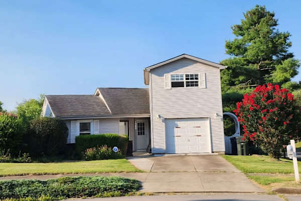 House sit in Lexington-Fayette, KY, US
