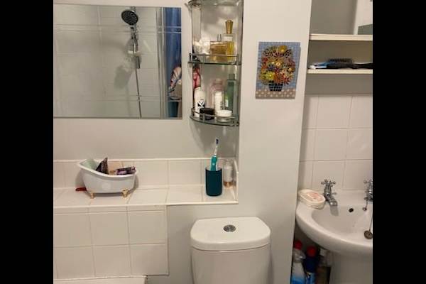 House sit in Frome, United Kingdom