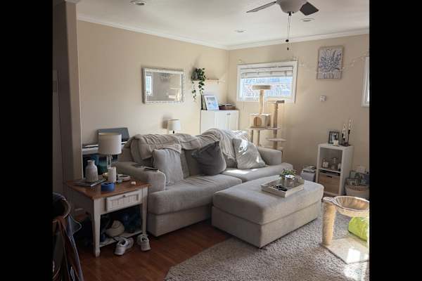 House sit in Santa Cruz, CA, US