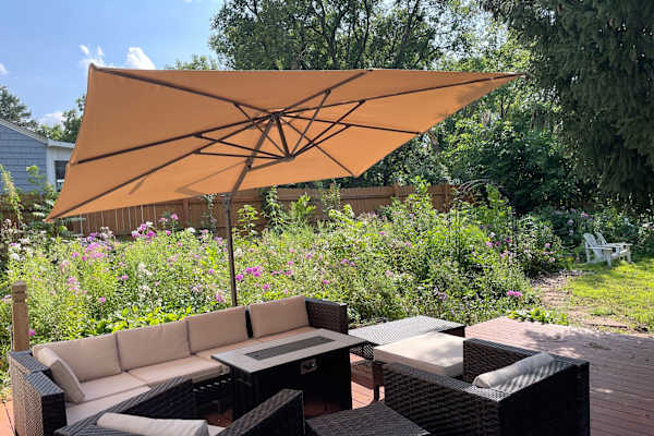 House sit in Maplewood, MN, US