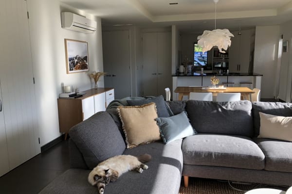 House sit in Christchurch, New Zealand