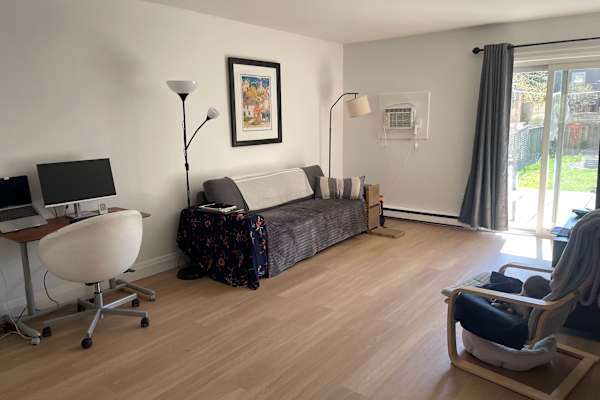 House sit in Toronto, ON, Canada