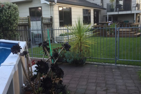 House sit in Napier, New Zealand