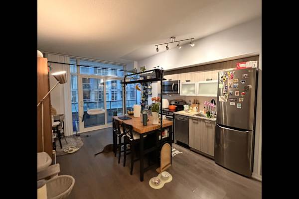 House sit in Toronto, ON, Canada