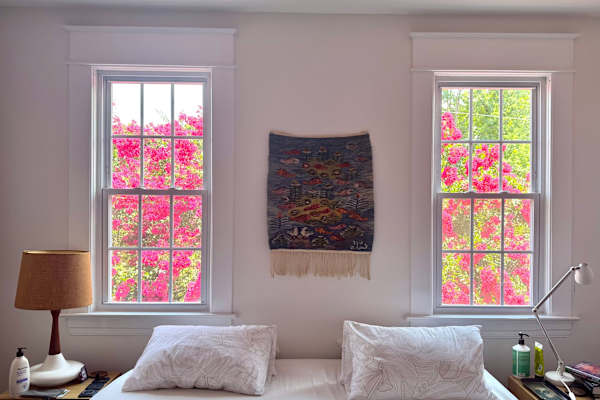 House sit in Roanoke, VA, US