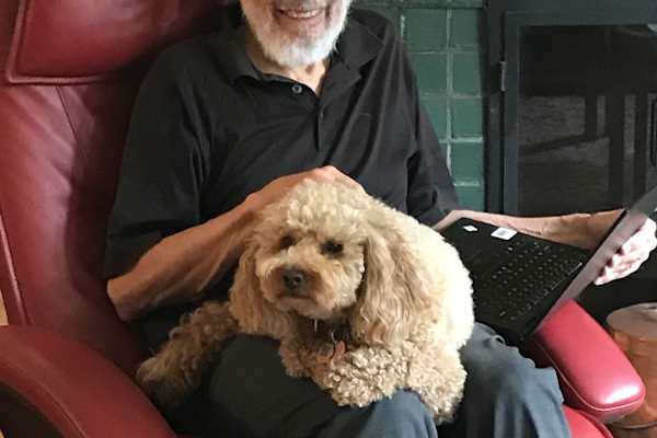 House sit in Montréal, QC, Canada