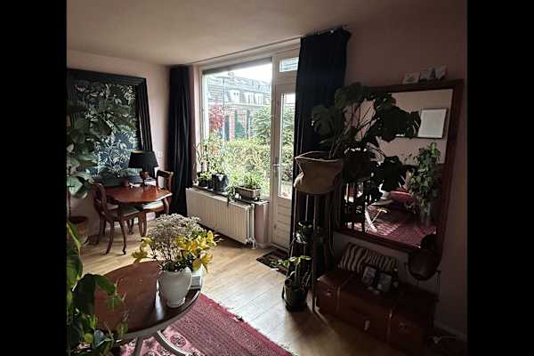 House sit in Utrecht, Netherlands