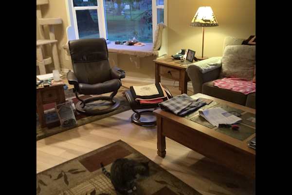 House sit in Corvallis, OR, US