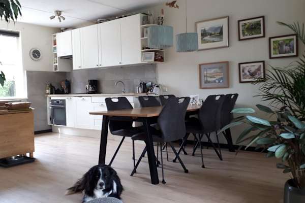House sit in Giesbeek, Netherlands