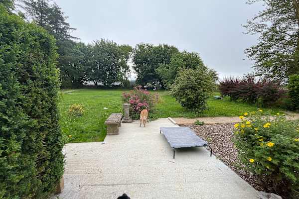 House sit in Shrule, Ireland