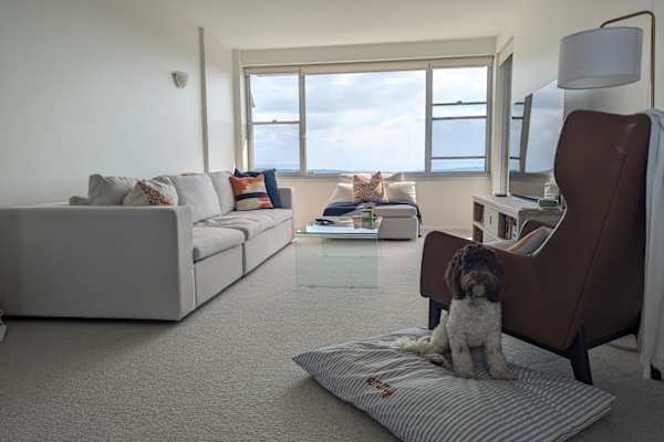 House sit in Sydney, NSW, Australia