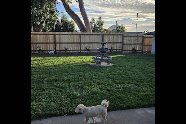 House sit in Morro Bay, CA, US