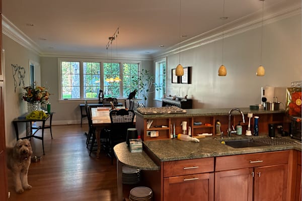 House sit in Durham, NC, US