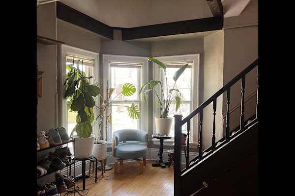 House sit in Madison, WI, US