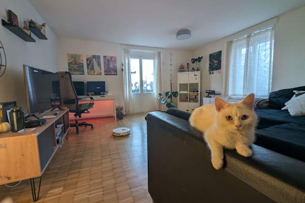 House sit in Sankt Gallen, Switzerland