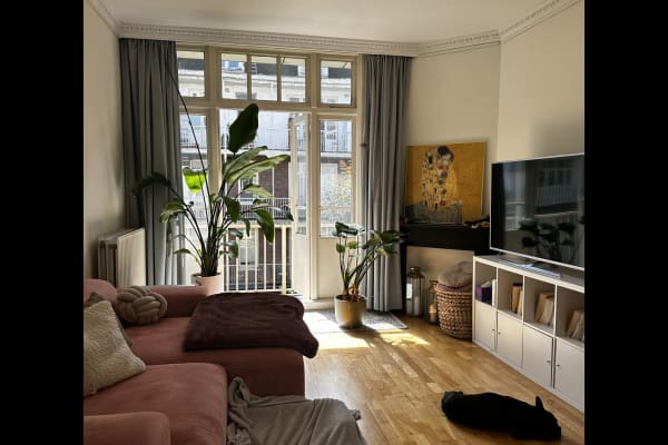 House sit in Amsterdam, Netherlands