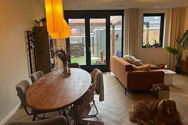 House sit in Weesp, Netherlands