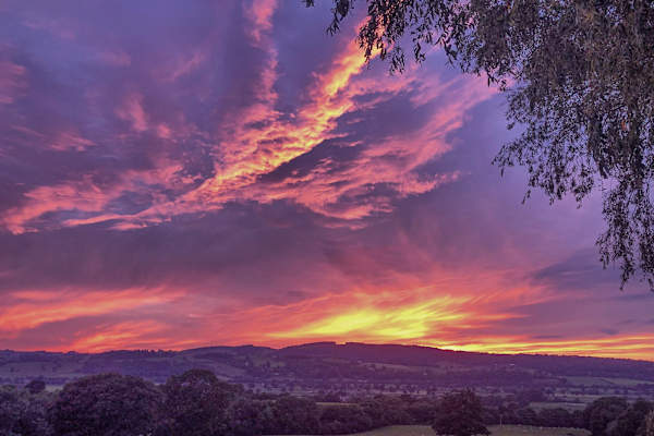 House sit in Welshpool, United Kingdom