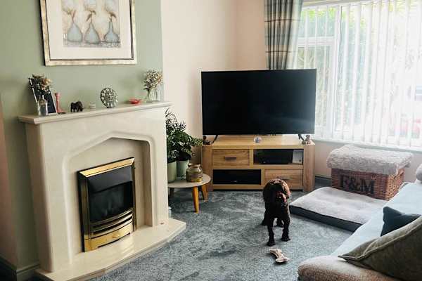 House sit in Andover, United Kingdom
