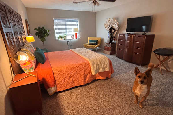 House sit in Katy, TX, US