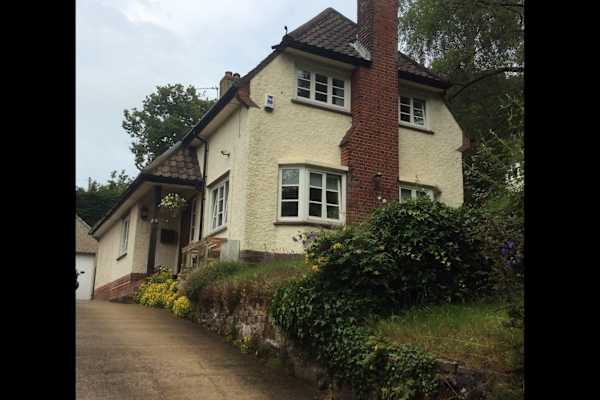 House sit in Norwich, United Kingdom