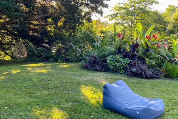 House sit in Auckland, New Zealand