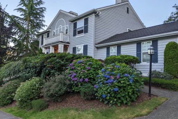 House sit in Bellevue, WA, US